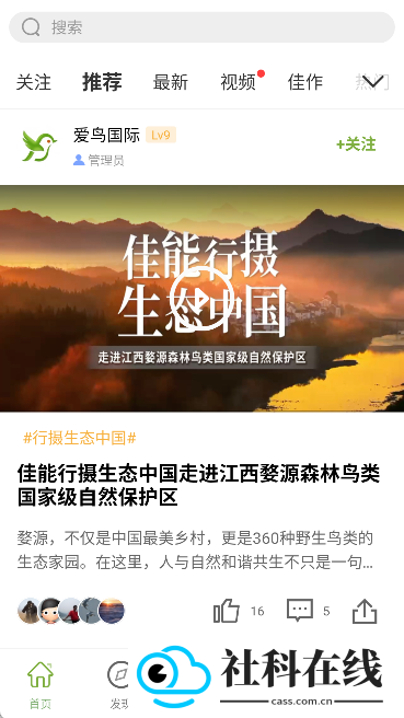 爱鸟国际