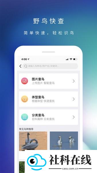 爱鸟国际