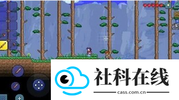 泰拉瑞亚wiki