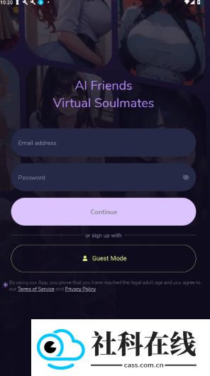 AnyChat