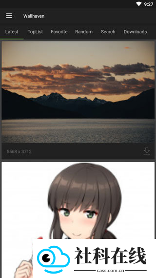 wallhaven手机版