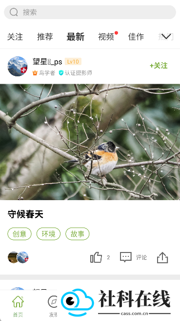 爱鸟国际