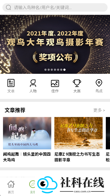 爱鸟国际