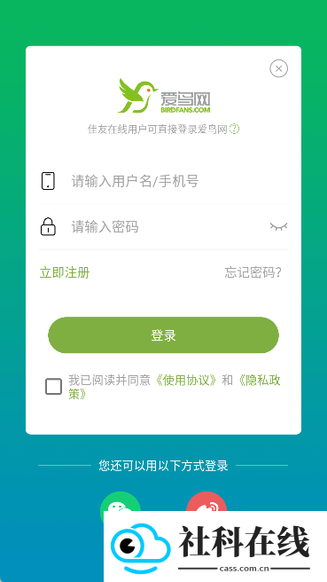 爱鸟国际