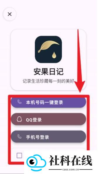 安果日记