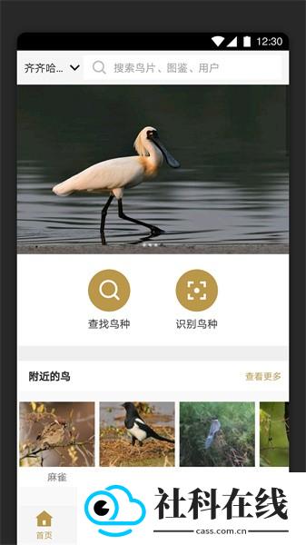 识鸟家app