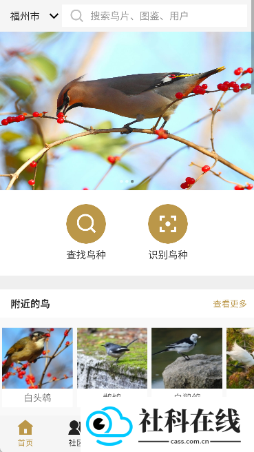 识鸟家app