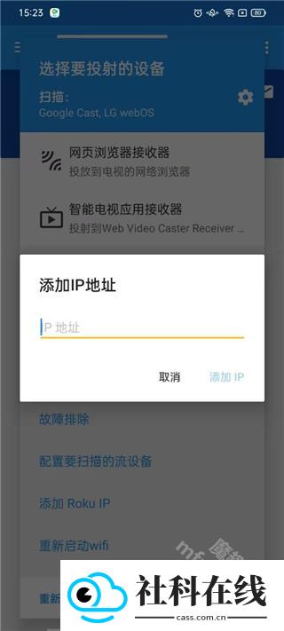 web video caster投屏
