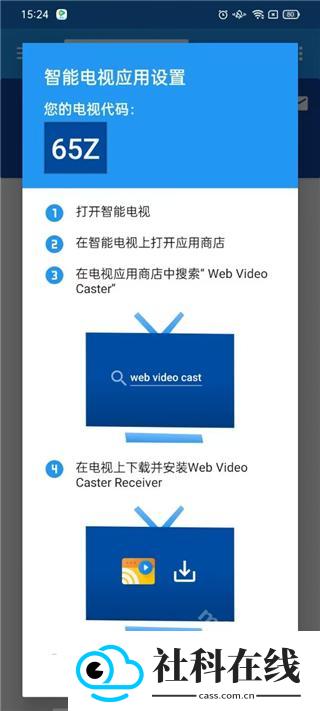 web video caster投屏