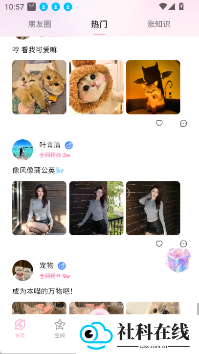 小粉圈