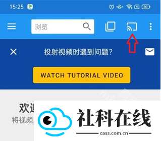 web video caster投屏