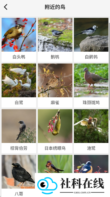 识鸟家app