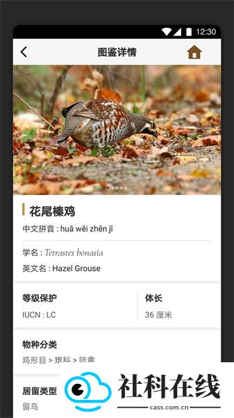 识鸟家app