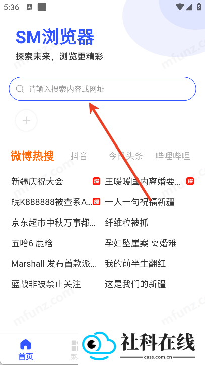 SM浏览器