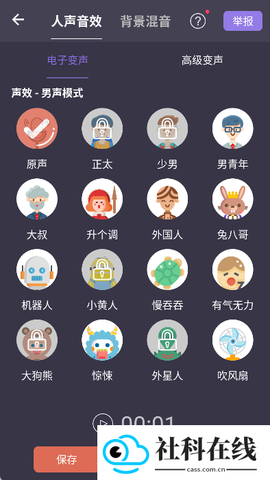 专业变声器