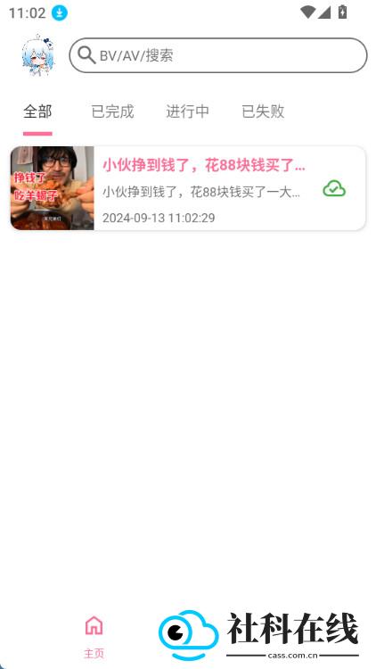BVD下载器