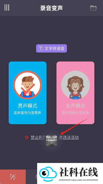专业变声器