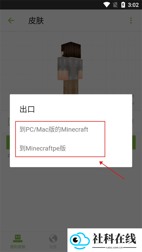 Skinseed皮肤制作器