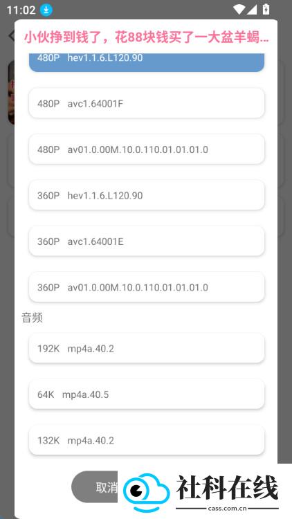 BVD下载器