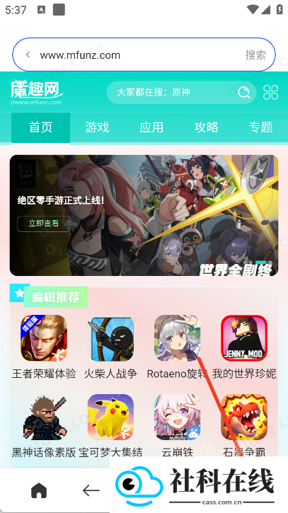 SM浏览器