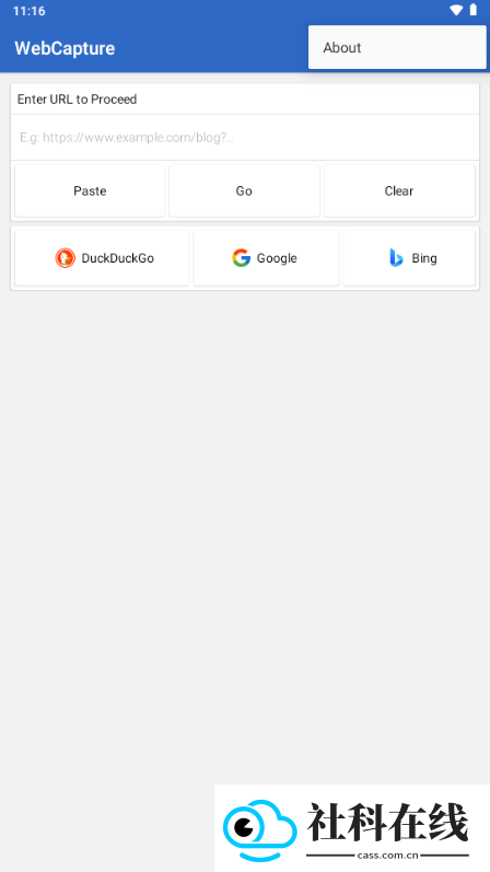WebCapture软件