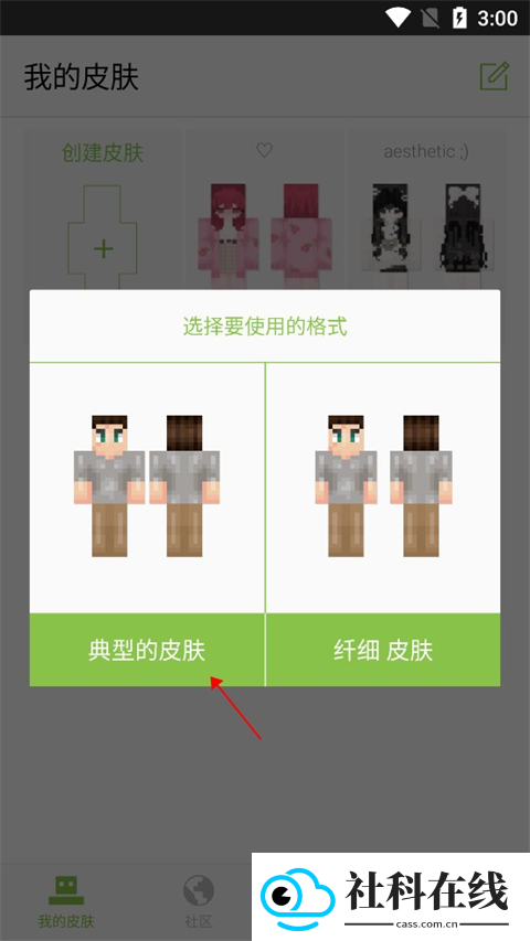 Skinseed皮肤制作器