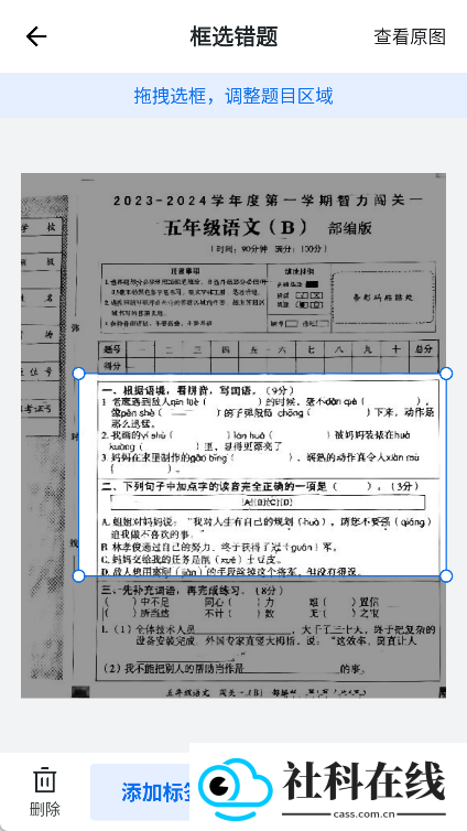 蜜蜂试卷