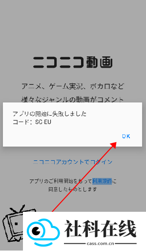 n站
