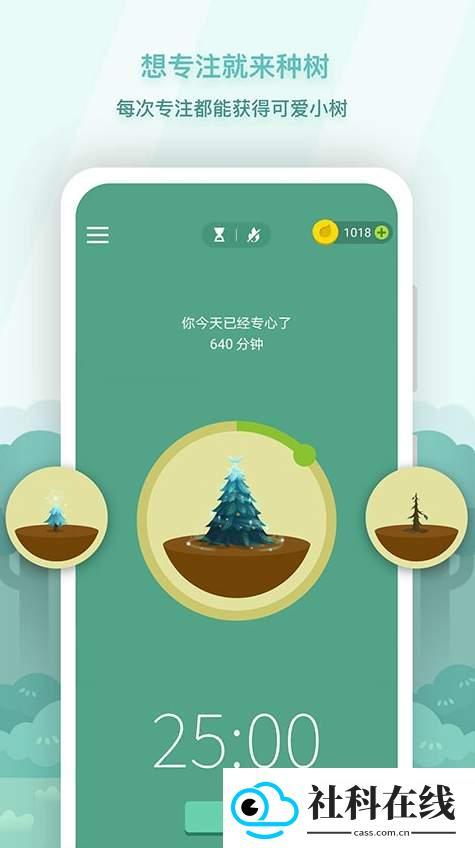 专注森林Forest