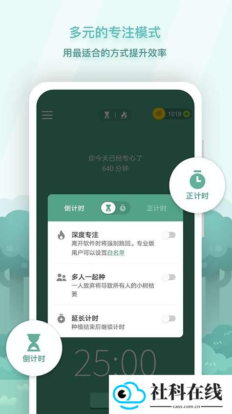 专注森林Forest