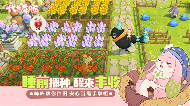 代号咘咘