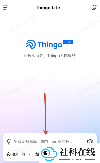 Thingo Lite