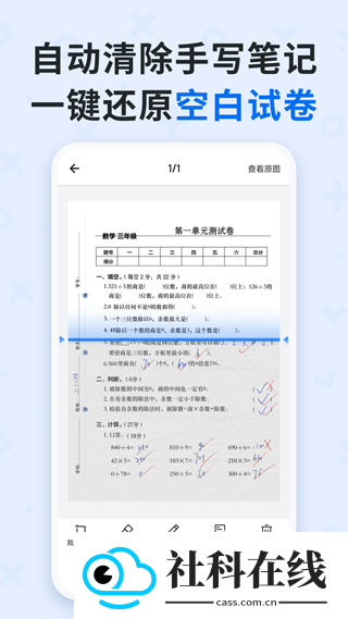 蜜蜂试卷