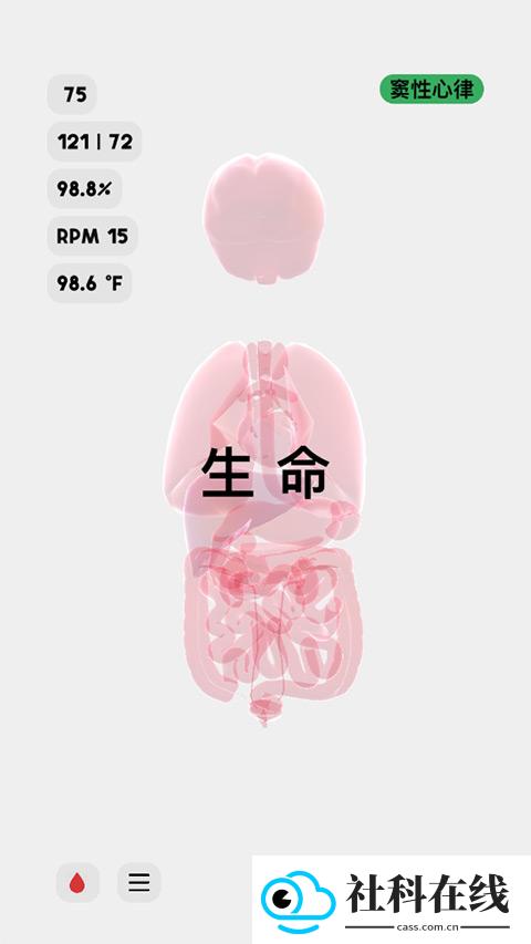 生命人体模拟器