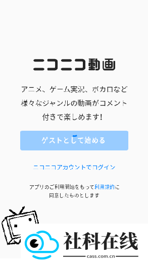 n站