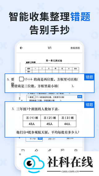 蜜蜂试卷