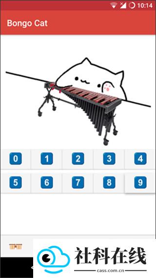 键盘猫