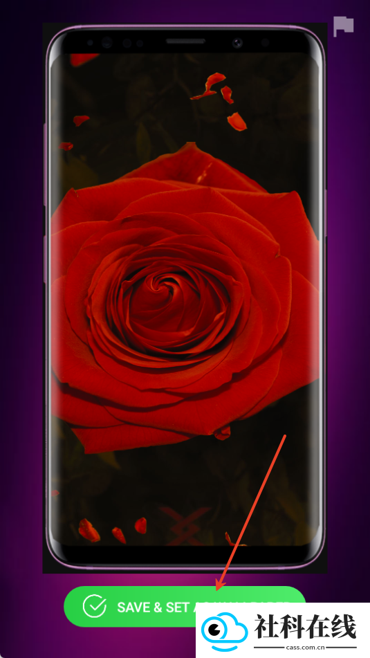 hdwallpaper4d
