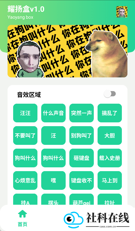 耀扬盒