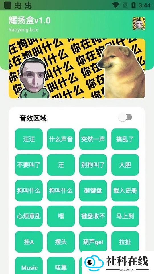 耀扬盒