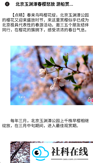 奇缘之旅行
