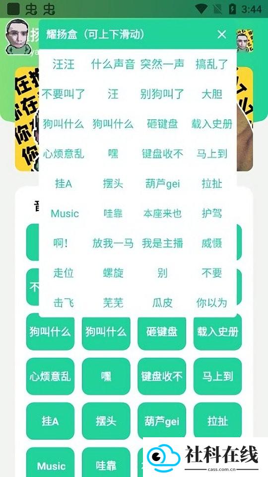 耀扬盒