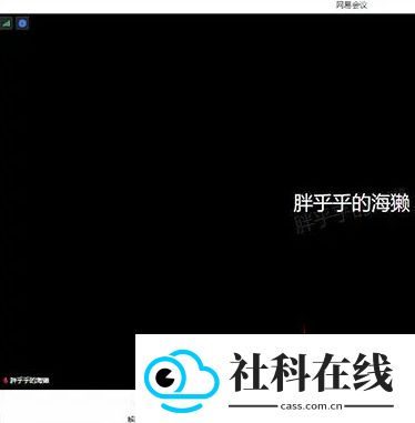 网易会议app安卓版