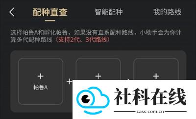帕鲁小助手纯净版