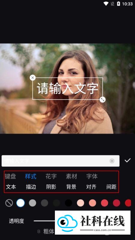 Styler免费版怎么修改图片文字?2