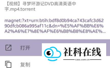 磁力猫磁力引擎