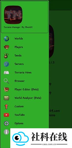Terraria Manager