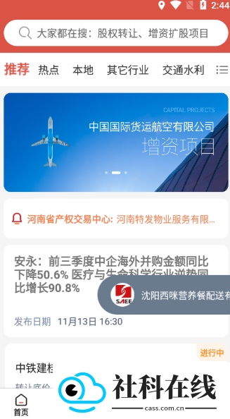 塔米狗