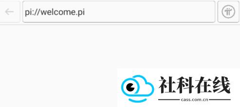 PI浏览器1.171