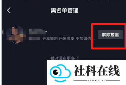 抖音hd平板专用版
